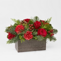 Christmas Cabin Bouquet from Lloyd's Florist, local florist in Louisville,KY